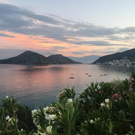 Lemon Art 3* Τολό