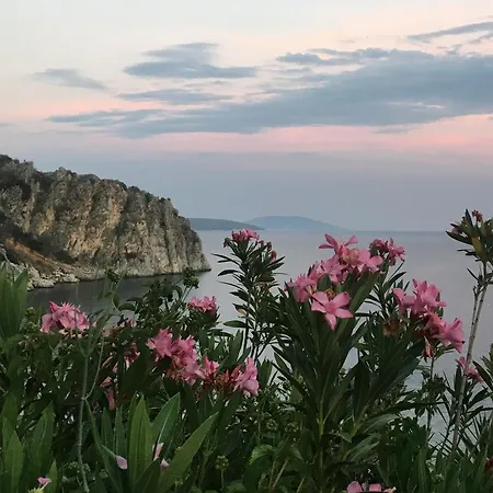 Ξενοδοχείο με διαμερίσματα Lemon Art